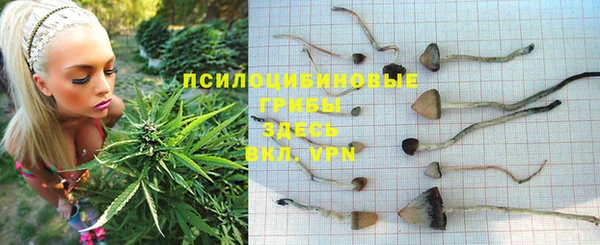 mdpv Алексеевка