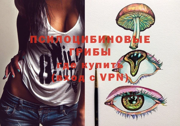 МДПВ Алексин